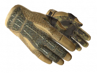 ★ Sport Gloves Arid